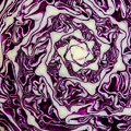 Fibonachi Cabbage 